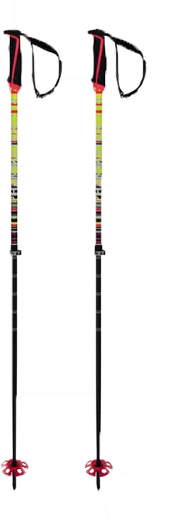 Völkl Kid’s Phantastick FR Poles No Colour