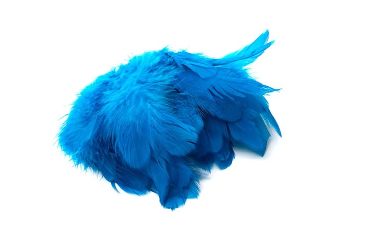 Wapsi Wapsi Schlappen Short Peacock Blue Wapsi