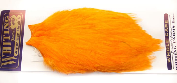 Whiting Whiting Am. Rooster Cape - Shrimp Orange (White Dyed) Whiting