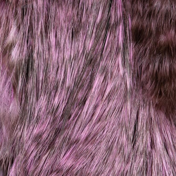 Whiting Whiting Bird Fur White Dyed Pink Whiting