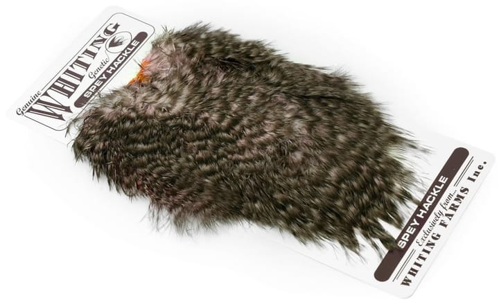 Whiting Whiting Spey Hackle Hen Saddle Grizzly Dyed Shell Pink Whiting