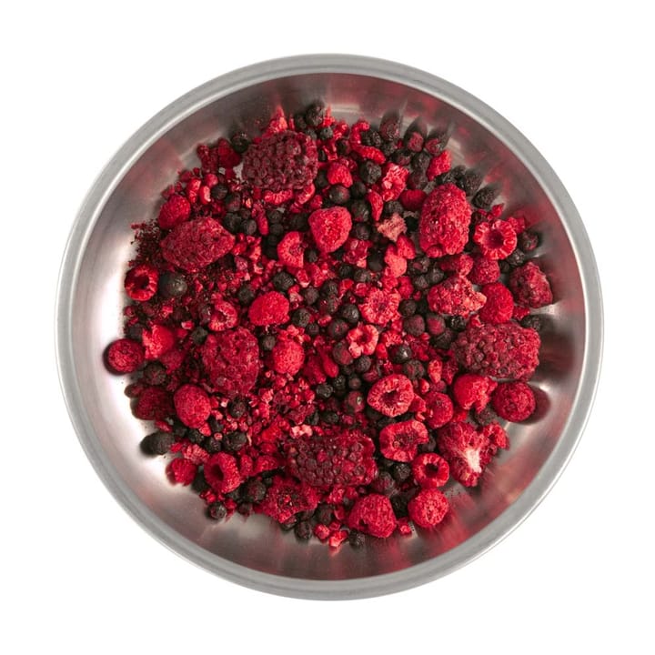 Wild Berry Mix Nocolour Lyofood