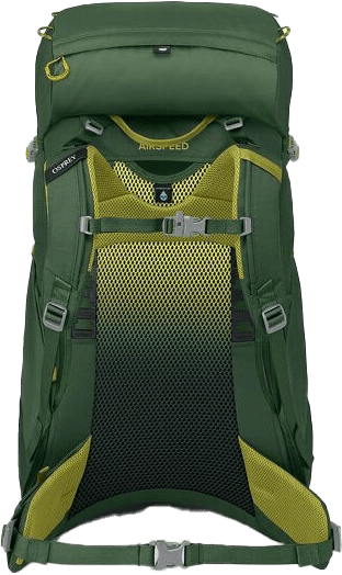 Osprey Kids' Ace 38 Green Canopy/Matcha Green Osprey