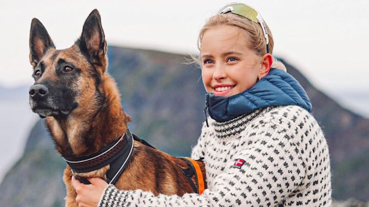 Ambassadører Ambassadører